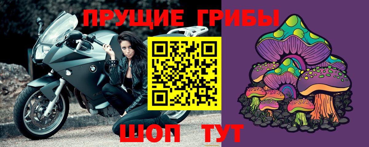 цены   Вход с VPN  Анжеро-Судженск  Галлюциногенные грибы Psilocybine cubensis 